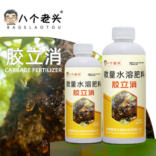 八个老头胶立消微量水溶肥料康果树桃杏李流胶病穿孔一喷净300ml
