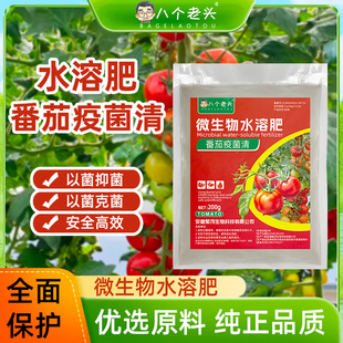八个老头番茄西红柿病菌清抑菌疫病毒药微生物水溶杀菌剂肥料200g