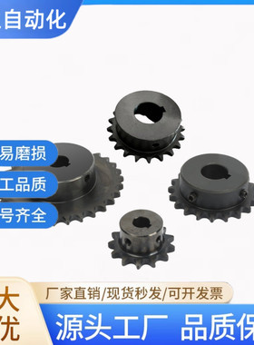 链轮 SP35B9/10/11/12/13-N-10 12 14 15 16 17 18