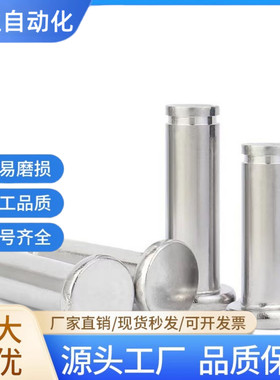 滚轮销轴CNPR/SCNPR/CNPP-SCNPP3/4/5/6/8/10/12/13/15/16/20/25