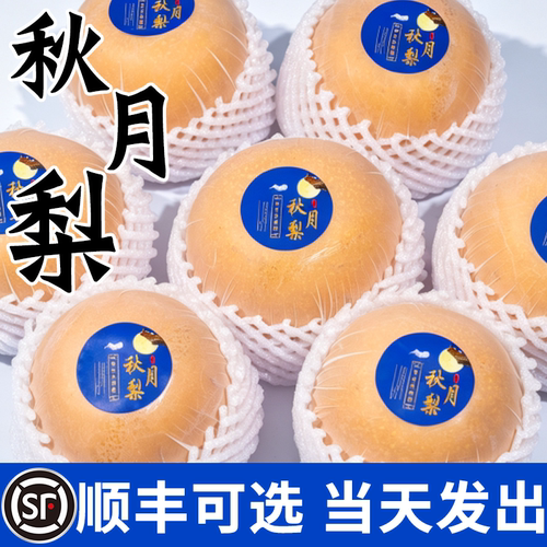 【官方推荐】正宗山东秋月梨