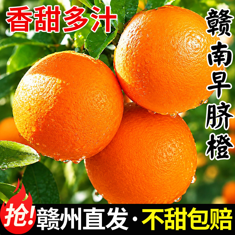 正宗赣南早脐橙·假一罚十