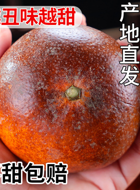 正宗广西乌柑新鲜水果桔子黑皮沃柑薄皮沃柑橘子砂糖斤现摘10直发