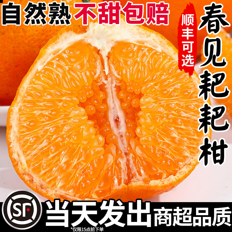 正宗四川春见耙耙柑粑粑柑杷杷柑新鲜水果当季丑桔子橘整箱旗舰店,水产肉类/新鲜蔬果/熟食,桔子,淘宝优惠券,粉丝福利购,淘宝优惠卷