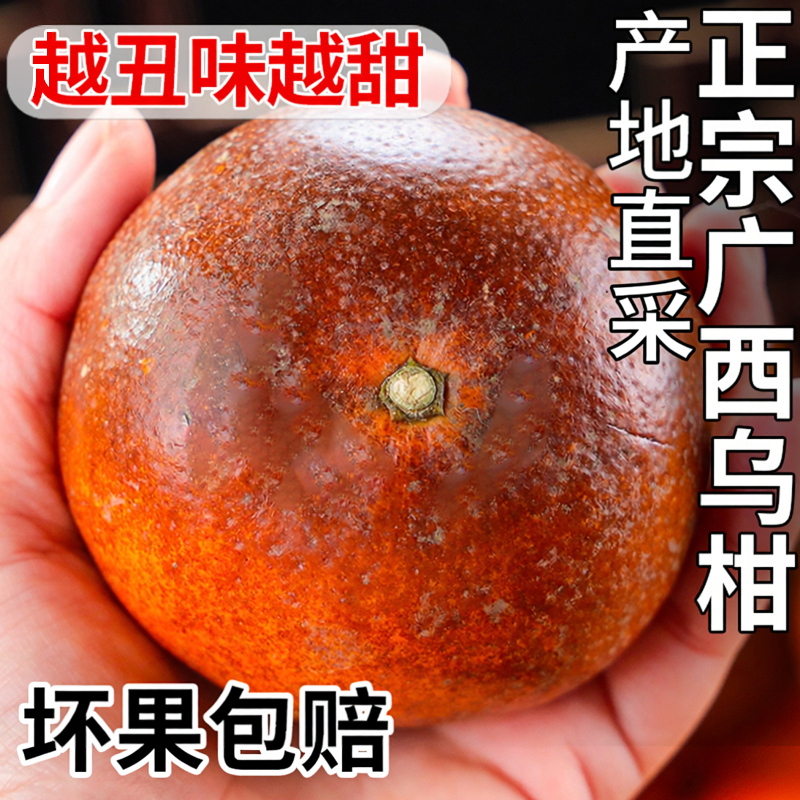 正宗广西乌柑新鲜水果桔子黑皮沃柑薄皮沃柑橘子砂糖斤现摘10直发