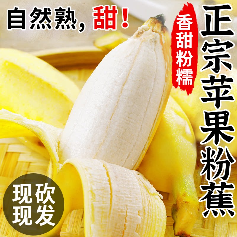 正宗苹果蕉香蕉新鲜自然熟当季小米芭蕉香焦皇帝蕉苹果粉蕉包邮