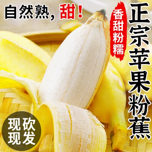 软糯香甜|正宗广西苹果蕉