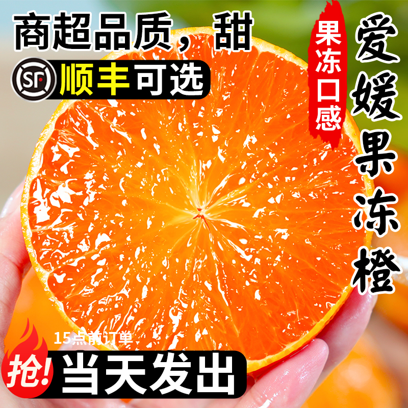 果冻橙热卖TOP~商超品质