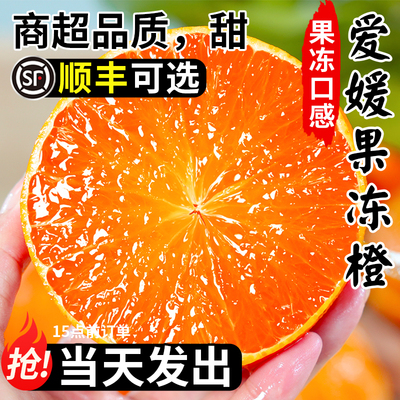 果冻橙热卖TOP~商超品质