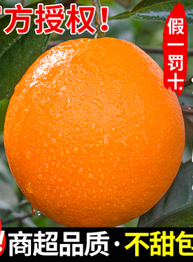 正宗赣南脐橙新鲜橙子当季水果甜果冻橙大整箱包邮江西官方旗舰店