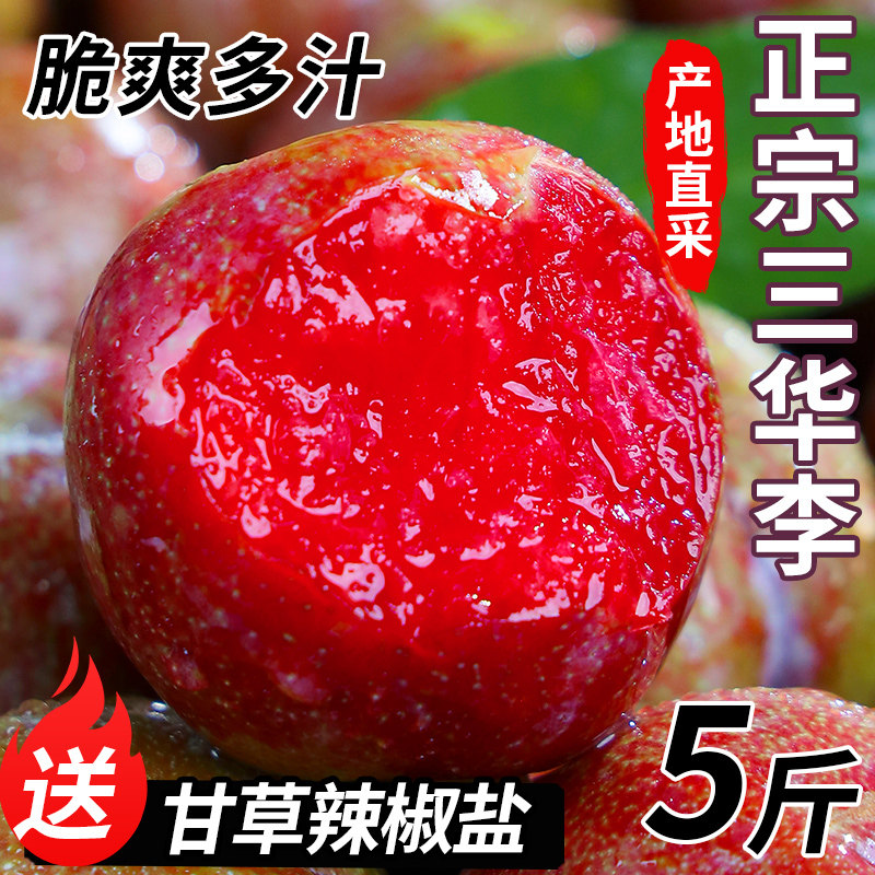 正宗广西红心三华李5斤