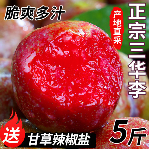 正宗广西红心三华李5斤