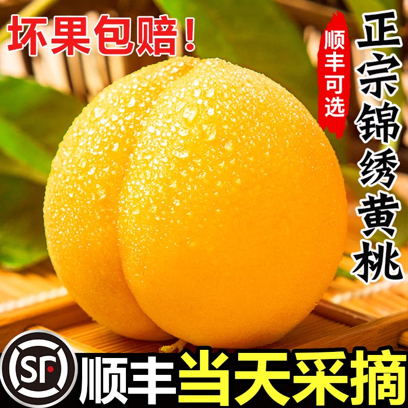 【官方推荐】正宗锦绣黄桃