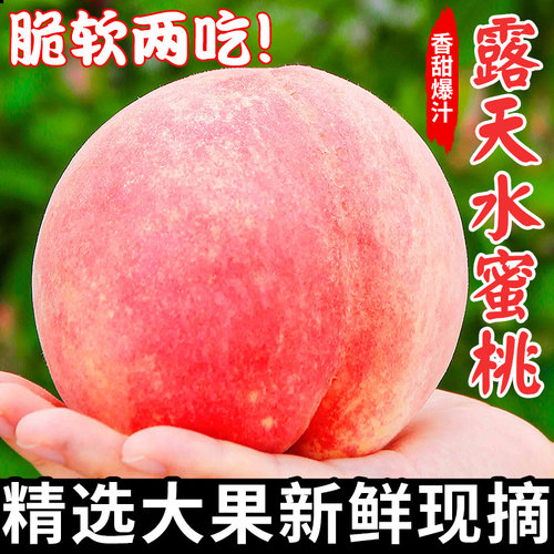 【热销爆款】新鲜水蜜桃大果