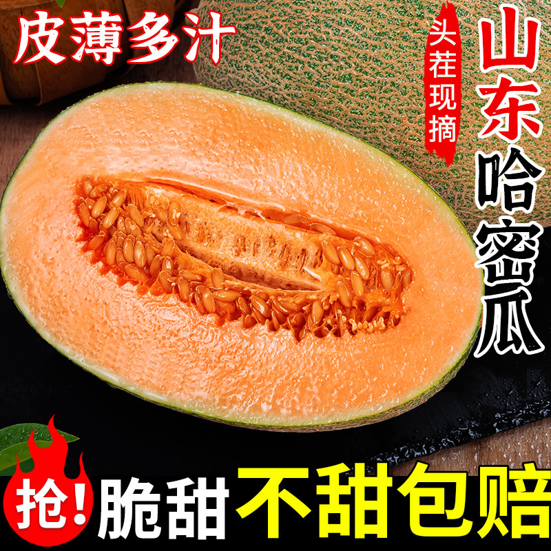 正宗山东哈密瓜玲珑网纹蜜瓜当季现摘脆甜多汁皮薄新鲜香甜整箱装