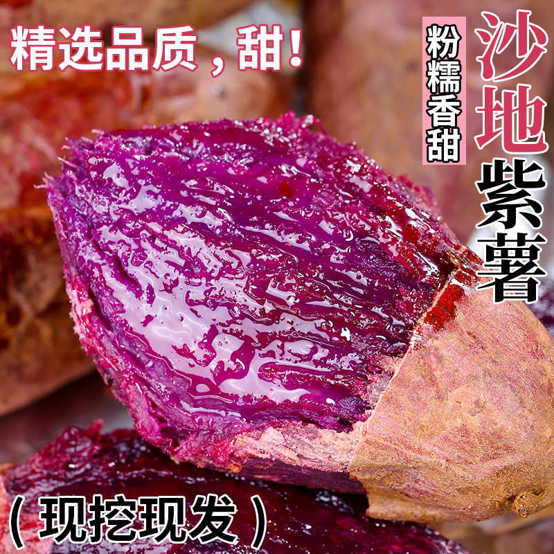 紫薯新鲜番薯板栗红薯地瓜蜜薯糖心山芋烟薯香薯蔬菜现挖农家自种
