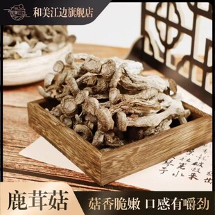 【官方正品】和美江边鹿茸菇1斤*1袋口感脆嫩有嚼劲高山小鹿香菇