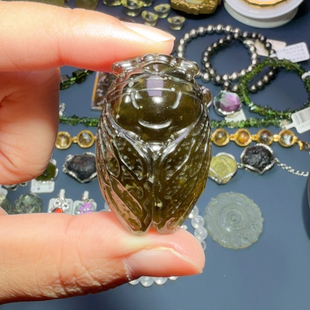 利比亚黑金金蝉