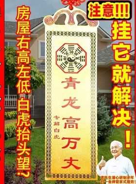 铜青龙高万丈解邻居比自家高白虎探头室内外玄关门头中式家居摆件