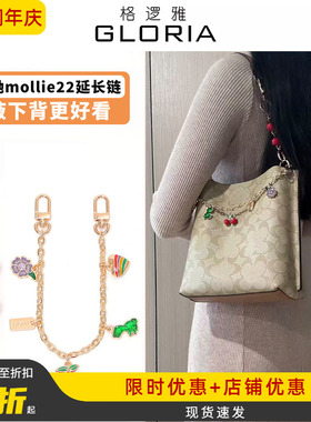 适用蔻驰mollie22樱桃延长链coach水桶包腋下加长链装饰改造配件
