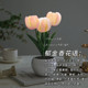 夕风郁金香小夜灯氛围灯毕业礼物生日礼物女实用走心送女朋友女友