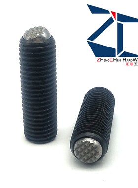 动向钢珠螺杆 齿面型锁紧螺丝 FSMG6-M16 无弹簧滚动波珠 PT16C