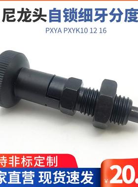 ZAM21/31尼龙头自锁细牙分度销弹簧分割锁旋钮柱塞PXYA PXYK10 12