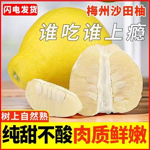【纯甜】正宗梅州沙田柚梅县金柚新鲜当季水果批发白心肉孕妇柚子
