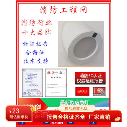 中科知创应急灯青鸟消防应急照明灯具标志灯应急灯10个起发