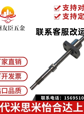 滚珠丝杆BSS BSSE BSBK BSBR0802 1510 2005 20102505 2510