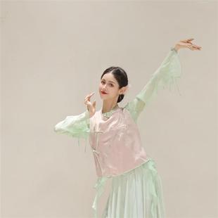 诗意花朵桃红柳绿新中式马甲国风女款2024新秋季刺绣独特别致马甲