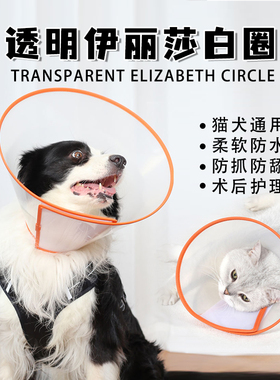 宠物伊丽莎白圈橙色PU包边加深狗头套猫咪防舔防咬防水保护头套