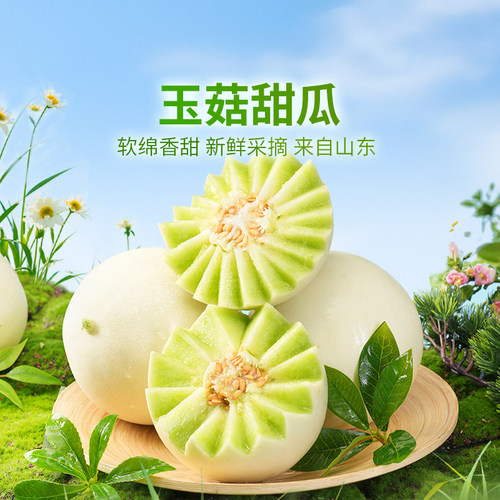 东方甄选玉菇甜瓜4.5斤/6斤/8斤