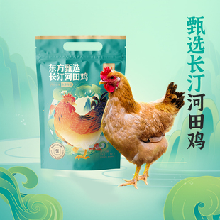 东方甄选长汀河田鸡肉质细腻