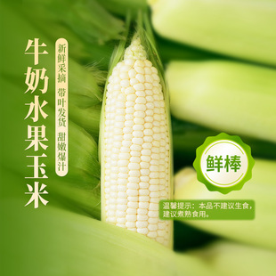 东方甄选牛奶水果玉米当季 新鲜蔬菜早餐火锅烧烤食材甜玉米顺丰