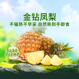 时令生鲜4.5斤装 新鲜水果应季 东方甄选金钻凤梨海南当季