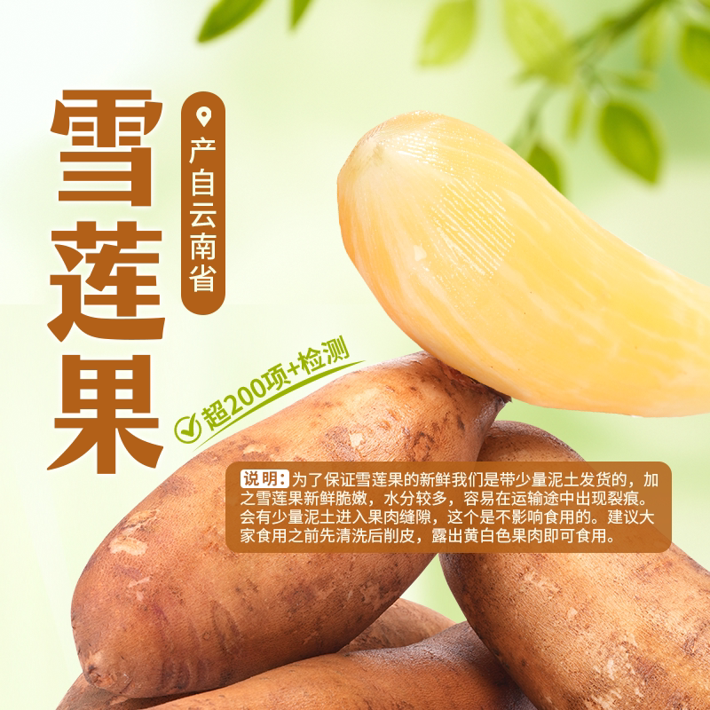 东方甄选雪莲果云南红泥黄白心果当季新鲜水果时令生鲜整箱顺丰