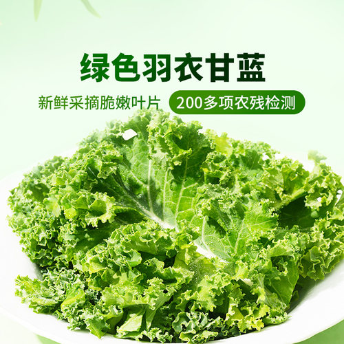 东方甄选绿色羽衣甘蓝500g/1000g