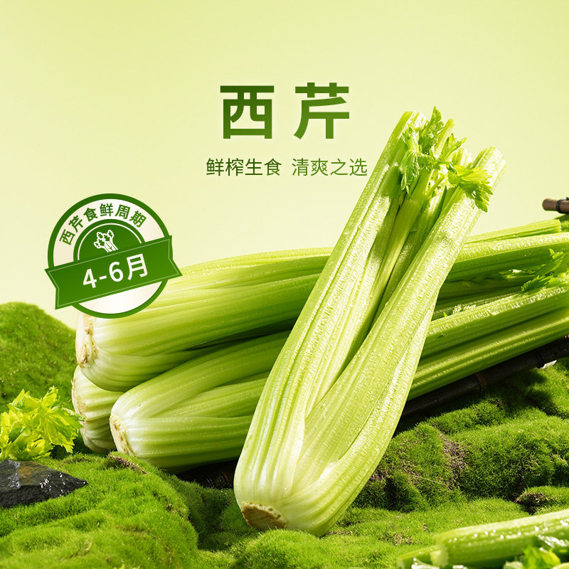 东方甄选西芹芹菜榨汁青菜当季新鲜脆嫩蔬菜水果沙拉凉拌轻食现采