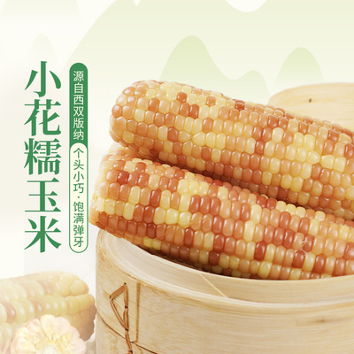 东方甄选云南小花糯玉米1.5kg/袋