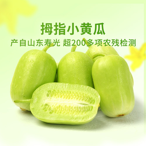 东方甄选拇指小黄瓜2/3斤装