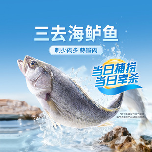 东方甄选三去海鲈鱼低脂肪高蛋白海鲜水产半成品速冻食品烤鱼年货