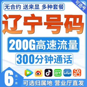 辽宁移动纯流量卡手机电话卡归属地沈阳大连鞍山抚顺本溪丹东锦州