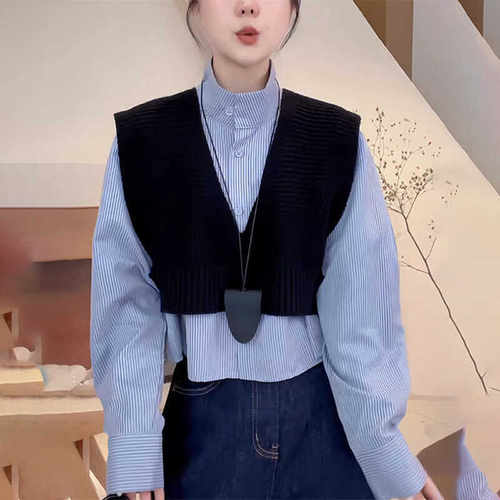 两件套法式复古长袖百搭条纹上衣