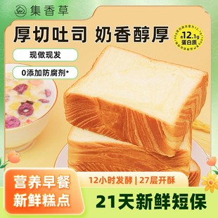 集香草厚切吐司面包320g奶香味面包切片早餐下午茶解馋零食