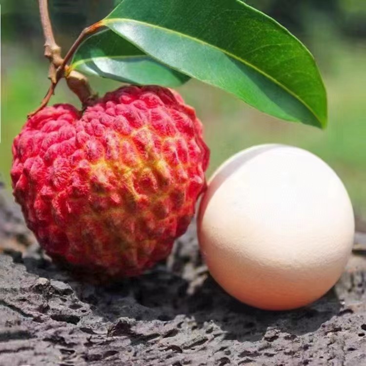 广东荔枝王新鲜水果当季巨无霸荔枝当季新鲜荔枝顺丰包邮