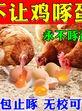 防鸡啄蛋禽用鸡啄肛啄羽药家鸡缺钙缺磷补钙促生长营养饲料添加剂