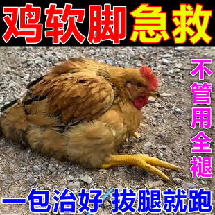 鸡软脚病鸡鸭鹅瘸腿瘫痪脚软站不稳关节肿大专用药 隔天能跑