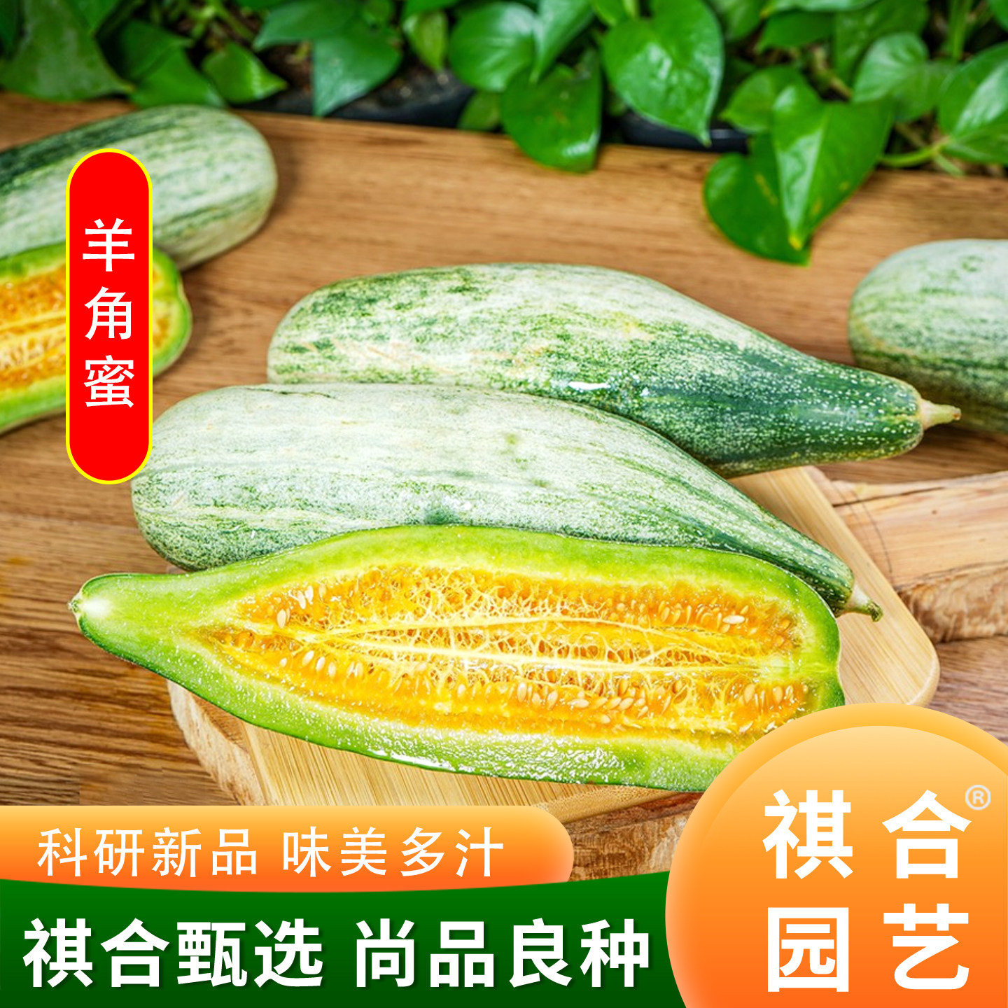 祺合春秋季庭院阳台羊角蜜口感好图片