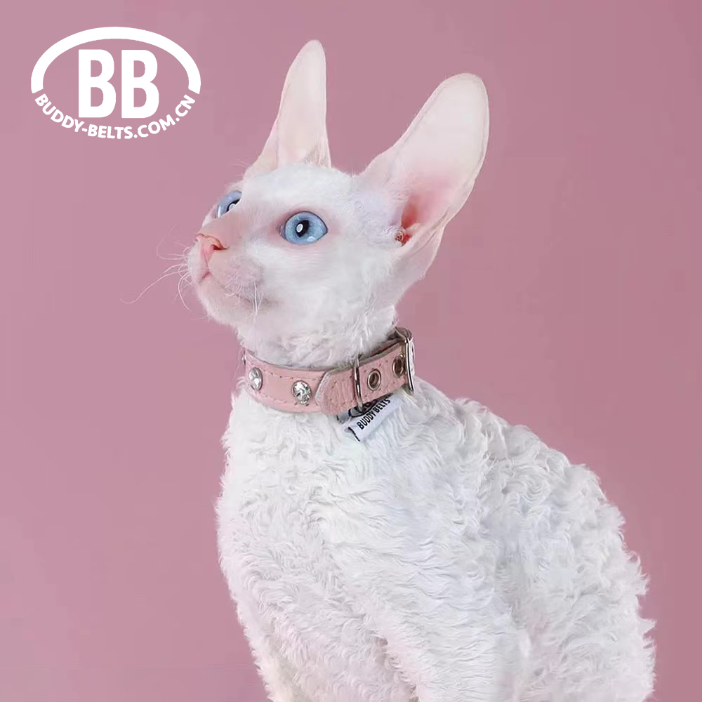 BB高级系列真皮宠物项圈